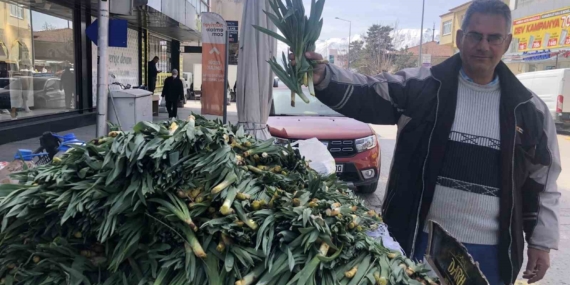 Doğal Antibiyotik 'Çiriş Otu' Artık Tezgahlarda! Doğal Antibiyotik ‘Çiriş Otu’ Artık Tezgahlarda!