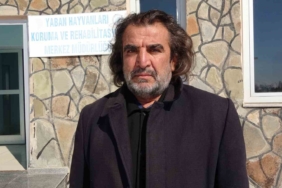 Doğanın Korunması ve Yaban Hayvanları: Ekosistemin Önemi doganin-korunmasi-ve-yaban-hayvanlari-ekosistemin-onemi-rHMer1VI.jpg