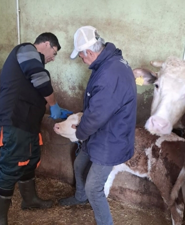 elazigda-asi-ve-kupeleme-uygulamalari-saglikta-yeni-bir-donem-zqwA7Yr2.jpg