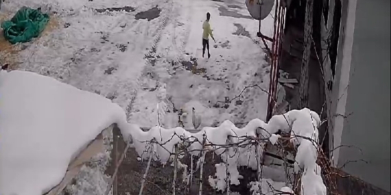 Horozun Saldırısı: 8 Yaşındaki Çocuğun Eğlenceli Kaçışı