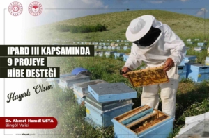 ipard-projelerinde-kadinlarin-gucu-basari-hikayeleri-K75p4y8V.jpg