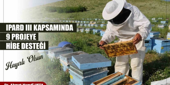 IPARD Projelerinde Kadınların Gücü: Başarı Hikayeleri IPARD Projelerinde Kadınların Gücü: Başarı Hikayeleri