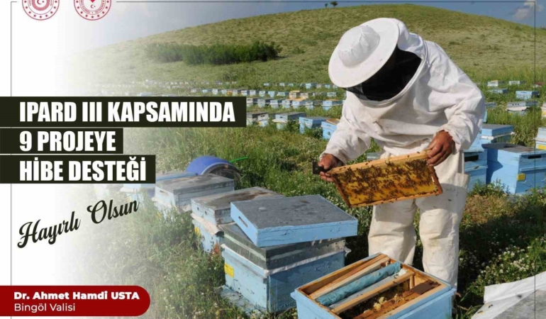 ipard-projelerinde-kadinlarin-gucu-basari-hikayeleri-K75p4y8V.jpg