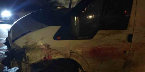 Siirt'te Minibüs Koyun Sürüsüne Çarptı: 20 Koyun Telef Oldu Siirt’te Minibüs Koyun Sürüsüne Çarptı: 20 Koyun Telef Oldu