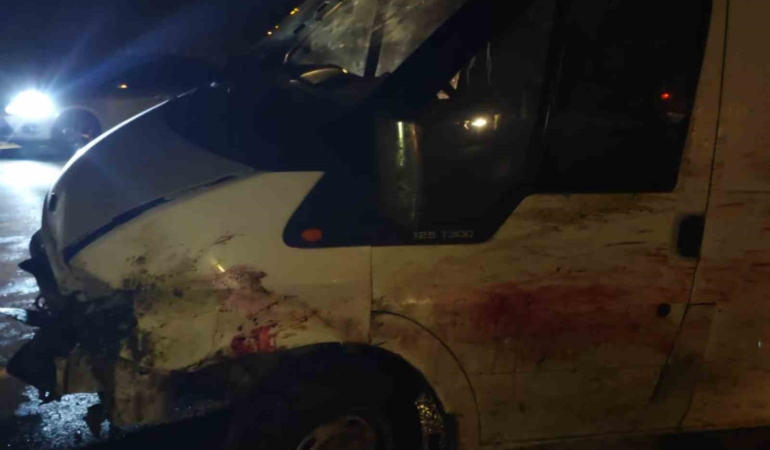 siirtte-minibus-koyun-surusune-carpti-20-koyun-telef-oldu-CB8jMTrb.jpg
