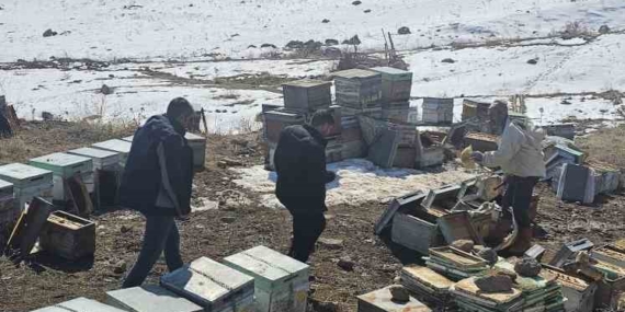 Van'ın Muradiye İlçesinde Soğuk Hava Nedeniyle Arı Telefi Van’ın Muradiye İlçesinde Soğuk Hava Nedeniyle Arı Telefi