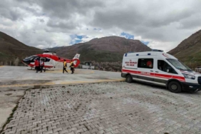 9-haftalik-hamile-kadin-icin-helikopter-ambulans-havalandi-mqTD7jkV.jpg