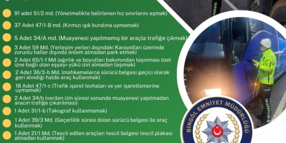 Bingöl’de 171 Sürücüye Uygulanan Ceza: Detaylar ve Sonuçlar