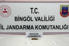 Bingöl'de Bonzai Operasyonu: 4 Kişi Gözaltında! bingolde-bonzai-operasyonu-4-kisi-gozaltinda-AcOcIaY8.jpg