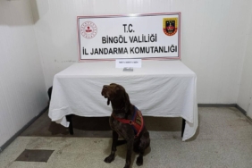 Bingöl'de Uyuşturucu İle Mücadele: İki Kişi Gözaltında! bingolde-uyusturucu-ile-mucadele-iki-kisi-gozaltinda-iVB5kAaL.jpg
