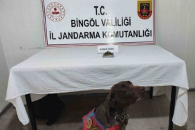 Bingöl'de Uyuşturucu ve Tüfek Operasyonu: Güvenlik Güçleri Başarı Elde Etti bingolde-uyusturucu-ve-tufek-operasyonu-guvenlik-gucleri-basari-elde-etti-8j6Gv7WU.jpg