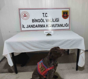 bingolde-uyusturucu-ve-tufek-operasyonu-guvenlik-gucleri-basari-elde-etti-8j6Gv7WU.jpg
