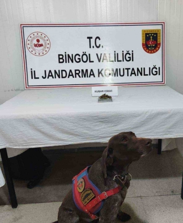 bingolde-uyusturucu-ve-tufek-operasyonu-guvenlik-gucleri-basari-elde-etti-8j6Gv7WU.jpg