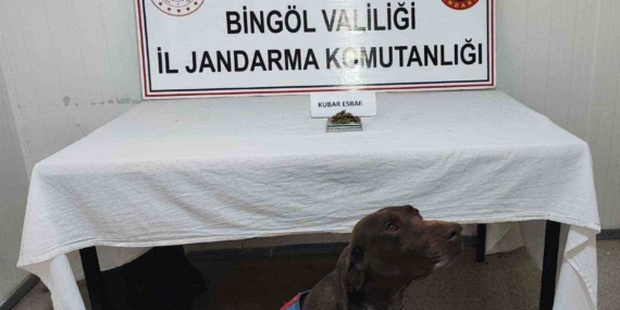 Bingöl'de Uyuşturucu ve Tüfek Operasyonu: Güvenlik Güçleri Başarı Elde Etti Bingöl’de Uyuşturucu ve Tüfek Operasyonu: Güvenlik Güçleri Başarı Elde Etti