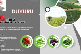 Bingöl'deki Çiftçilere Yüzde 70 Hibeli Sebze Fidesi Desteği Sunulacak bingoldeki-ciftcilere-yuzde-70-hibeli-sebze-fidesi-destegi-sunulacak-RXI18xVE.jpg