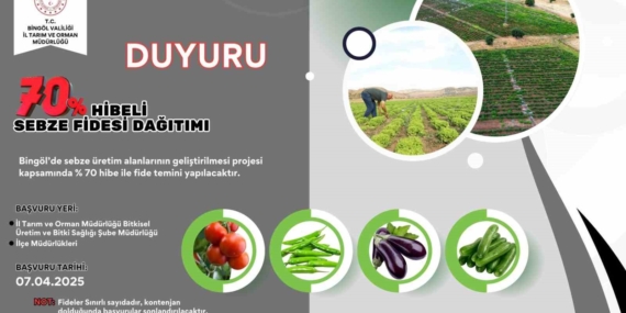 Bingöl’deki Çiftçilere Yüzde 70 Hibeli Sebze Fidesi Desteği Sunulacak