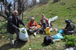 daglarin-gizli-hazinesi-dogal-pancarlar-ile-gecimlerini-saglayan-aileler-Uxg8chwg.jpg