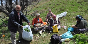 daglarin-gizli-hazinesi-dogal-pancarlar-ile-gecimlerini-saglayan-aileler-Uxg8chwg.jpg