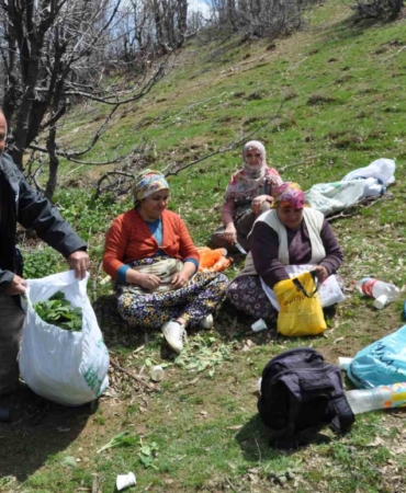daglarin-gizli-hazinesi-dogal-pancarlar-ile-gecimlerini-saglayan-aileler-Uxg8chwg.jpg