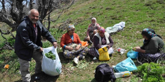 Dağların Gizli Hazinesi: Doğal Pancarlar ile Geçimlerini Sağlayan Aileler Dağların Gizli Hazinesi: Doğal Pancarlar ile Geçimlerini Sağlayan Aileler