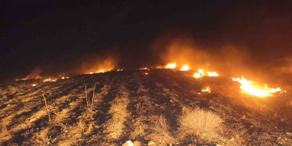 Darende'de Korkutan Anız Yangını: Doğayı Tehdit Eden Bir Olay Darende’de Korkutan Anız Yangını: Doğayı Tehdit Eden Bir Olay