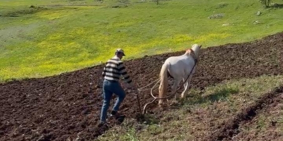 Dicle'nin Bereketli Topraklarında Geleneksel Tarım: Kültürel Mirasın Yaşatılması Dicle’nin Bereketli Topraklarında Geleneksel Tarım: Kültürel Mirasın Yaşatılması