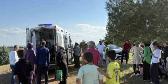 Direksiyon Eğitimi Sırasında Yürüyüş Yapan Çiftin Ağaçla İlginç Kazası Direksiyon Eğitimi Sırasında Yürüyüş Yapan Çiftin Ağaçla İlginç Kazası