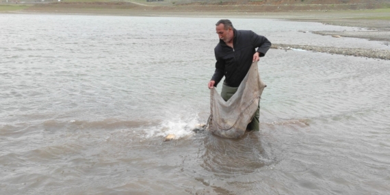 Elazığ'da 2.500 Metre Ağ ve 500 Kilo Balık Yakalandı: Su Altı Kaçakçılığına Darbe! Elazığ’da 2.500 Metre Ağ ve 500 Kilo Balık Yakalandı: Su Altı Kaçakçılığına Darbe!