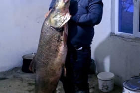 Elazığ'da 60 Kilogramlık Dev Turna Balığı Avlandı! elazigda-60-kilogramlik-dev-turna-baligi-avlandi-7g5LyPpK.jpg