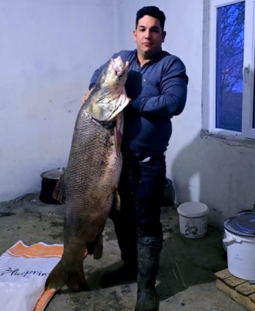 elazigda-60-kilogramlik-dev-turna-baligi-avlandi-7g5LyPpK.jpg