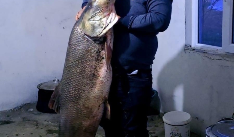 elazigda-60-kilogramlik-dev-turna-baligi-avlandi-7g5LyPpK.jpg