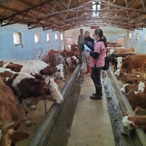 elazigda-asilama-ve-kupeleme-calismalarinda-yeni-gelismeler-q8dWByFb.jpg