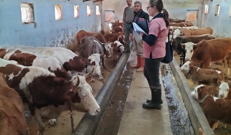 elazigda-asilama-ve-kupeleme-calismalarinda-yeni-gelismeler-q8dWByFb.jpg