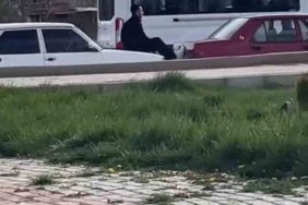 elazigda-hayret-verici-an-iki-fiat-tofas-arasinda-halat-gibi-kullanilan-olay-cydCmy38.jpg