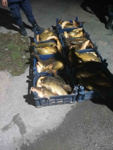 elazigda-kacak-avcilikla-ele-gecirilen-210-kilo-balik-olayi-65U8uQIq.jpg