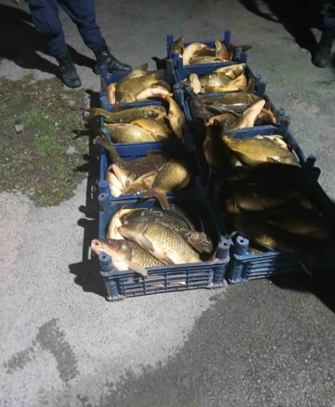 elazigda-kacak-avcilikla-ele-gecirilen-210-kilo-balik-olayi-65U8uQIq.jpg