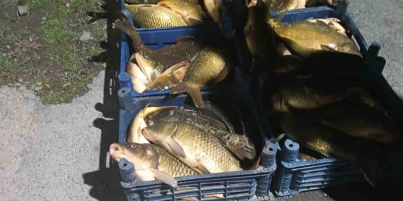 Elazığ'da Kaçak Avcılıkla Ele Geçirilen 210 Kilo Balık Olayı Elazığ’da Kaçak Avcılıkla Ele Geçirilen 210 Kilo Balık Olayı