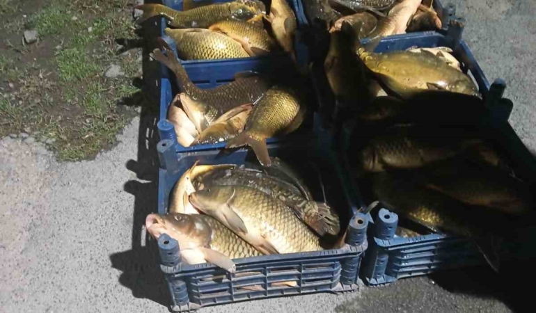 elazigda-kacak-avcilikla-ele-gecirilen-210-kilo-balik-olayi-65U8uQIq.jpg
