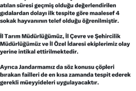 elazigda-sokak-hayvanlarina-yonelik-siddete-vali-hatipoglundan-sert-tepki-mhlfZbG4.jpg