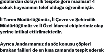 elazigda-sokak-hayvanlarina-yonelik-siddete-vali-hatipoglundan-sert-tepki-mhlfZbG4.jpg