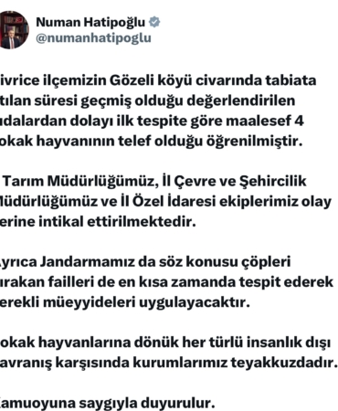 elazigda-sokak-hayvanlarina-yonelik-siddete-vali-hatipoglundan-sert-tepki-mhlfZbG4.jpg