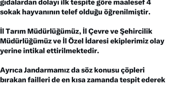 Elazığ'da Sokak Hayvanlarına Yönelik Şiddete Vali Hatipoğlu'ndan Sert Tepki Elazığ’da Sokak Hayvanlarına Yönelik Şiddete Vali Hatipoğlu’ndan Sert Tepki