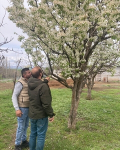 elazigda-zirai-don-sonrasi-hasar-tespit-calismalari-devam-ediyor-hBhAcVhs.jpg