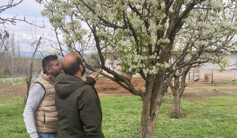 elazigda-zirai-don-sonrasi-hasar-tespit-calismalari-devam-ediyor-hBhAcVhs.jpg