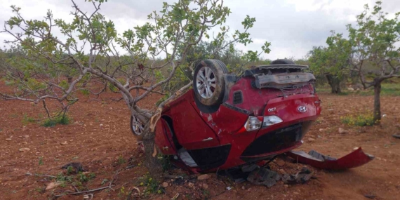 Fıstık Bahçesine Uçan Otomobil: Lastiği Patladı, 1 Ölü, 2 Yaralı Fıstık Bahçesine Uçan Otomobil: Lastiği Patladı, 1 Ölü, 2 Yaralı