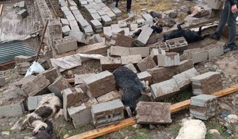 hakkaride-ahirin-cokmesi-sonucu-25-kucukbas-hayvan-telef-oldu-8p1b1bjg.jpg