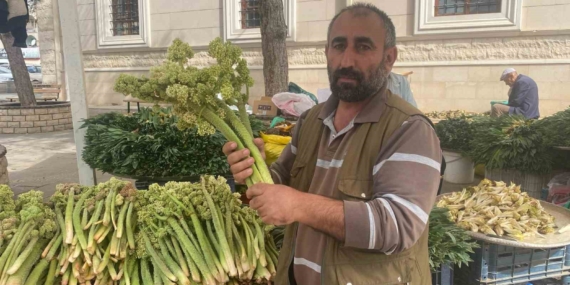Işkın: Şifa Deposu Artık Tezgahlarda! Işkın: Şifa Deposu Artık Tezgahlarda!