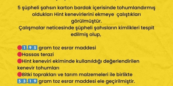 Karton Bardakta Uyuşturucu Tohumları: Ekim Çabaları Karton Bardakta Uyuşturucu Tohumları: Ekim Çabaları