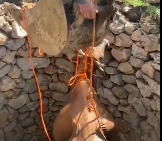 kuyuya-dusen-inegi-is-makinesiyle-kurtarma-hikayesi-7qHTSiaf.jpg