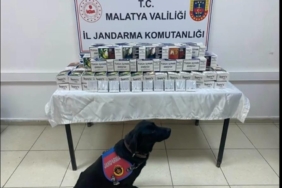 malatyada-kacak-urun-ve-uyusturucu-madde-operasyonu-buyuk-yakalama-ZNvMkmHx.jpg